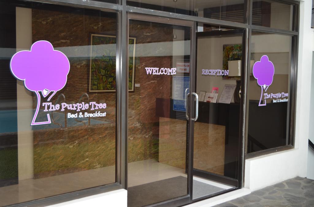 Purple Tree Bed & Breakfast Paranaque City Екстериор снимка