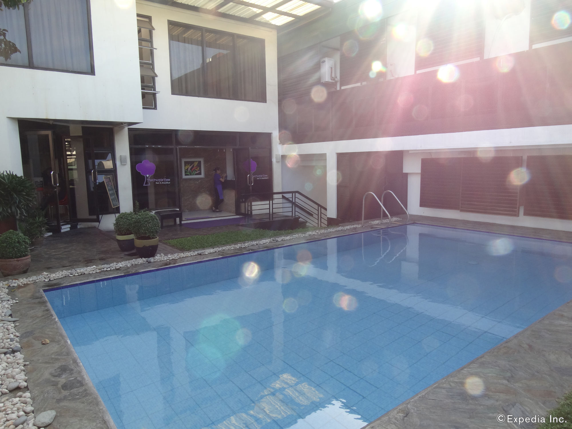 Purple Tree Bed & Breakfast Paranaque City Екстериор снимка